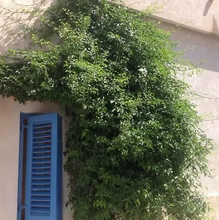 Marettimo Bed & Breakfast Marettimo